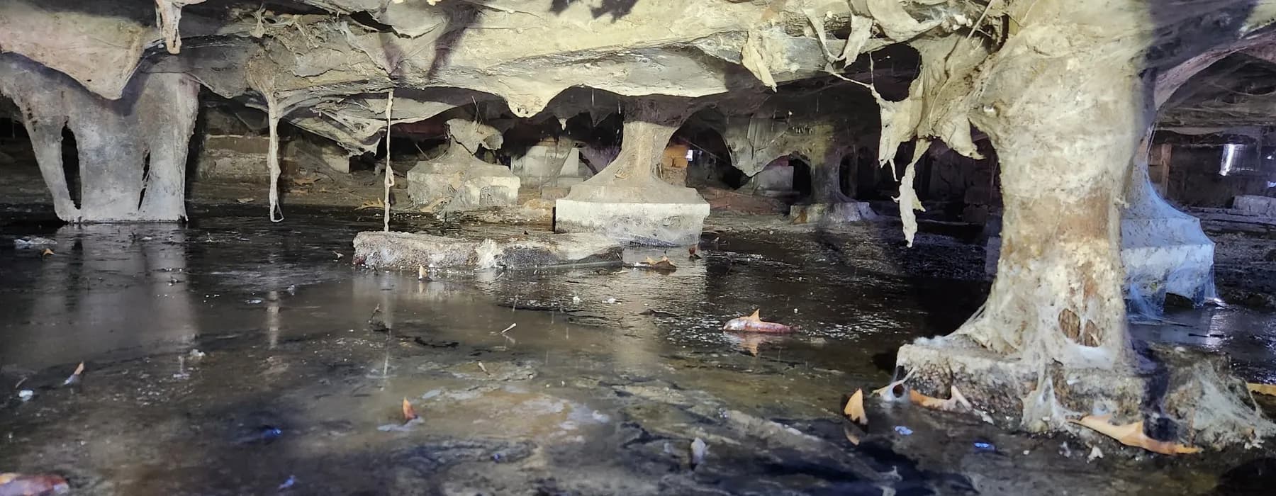 Fallen insulation hanging over standing water in an untreated crawlspace.