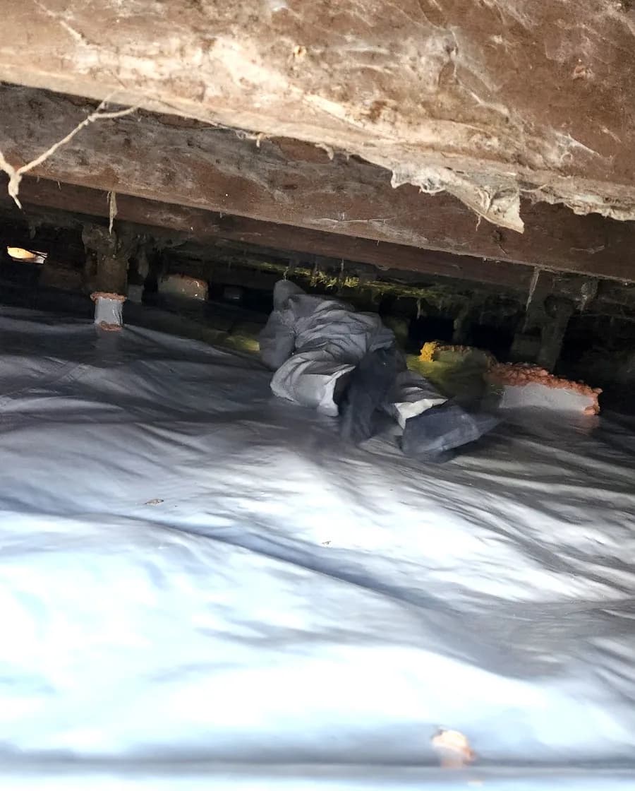 A finished crawlspace with the vapor barrier sealed to the piers.
